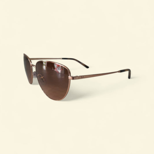 Ray-Ban Unisex Brown Gradient Sunglasses RB3740I